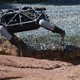 Image for article titled The Marines Are Sending This Robotic Dog Into Simulated Combat